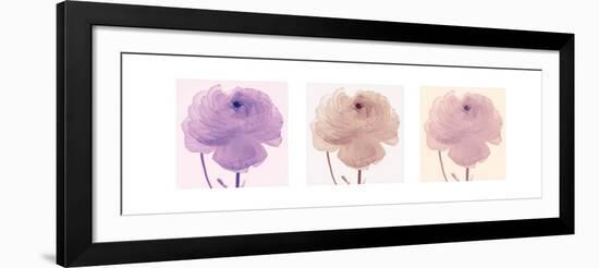 Flourish Triptych-Katja Marzahn-Framed Art Print