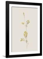 Flourish Twirl-Kristine Hegre-Framed Giclee Print