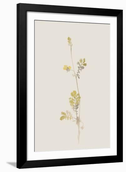 Flourish Twirl-Kristine Hegre-Framed Giclee Print