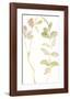 Flourish Verse-Kristine Hegre-Framed Giclee Print