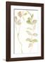 Flourish Verse-Kristine Hegre-Framed Giclee Print