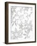 Flourishing Dreams-Pam Varacek-Framed Art Print