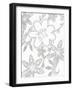 Flourishing Dreams-Pam Varacek-Framed Art Print