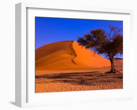 Flourishing Tree with Soussevlei Sand Dune, Namibia-Joe Restuccia III-Framed Premium Photographic Print