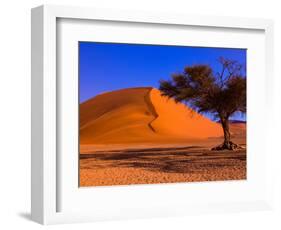 Flourishing Tree with Soussevlei Sand Dune, Namibia-Joe Restuccia III-Framed Photographic Print