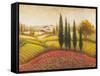 Flourishing Vineyard II-Michael Marcon-Framed Stretched Canvas