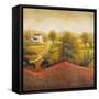 Flourishing Vineyard Square I-Michael Marcon-Framed Stretched Canvas