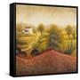 Flourishing Vineyard Square I-Michael Marcon-Framed Stretched Canvas