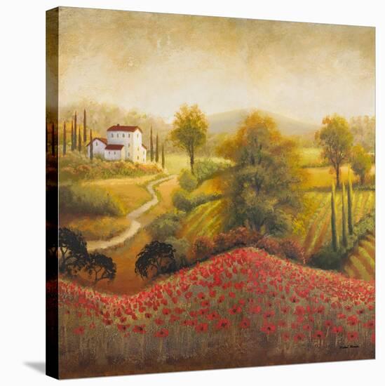 Flourishing Vineyard Square I-Michael Marcon-Stretched Canvas