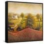 Flourishing Vineyard Square I-Michael Marcon-Framed Stretched Canvas