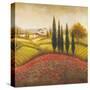 Flourishing Vineyard Square II-Michael Marcon-Stretched Canvas