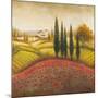 Flourishing Vineyard Square II-Michael Marcon-Mounted Art Print