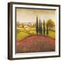 Flourishing Vineyard Square II-Michael Marcon-Framed Premium Giclee Print