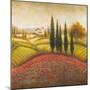 Flourishing Vineyard Square II-Michael Marcon-Mounted Premium Giclee Print