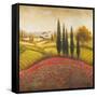 Flourishing Vineyard Square II-Michael Marcon-Framed Stretched Canvas