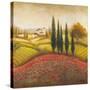 Flourishing Vineyard Square II-Michael Marcon-Stretched Canvas