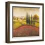Flourishing Vineyard Square II-Michael Marcon-Framed Art Print