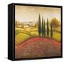 Flourishing Vineyard Square II-Michael Marcon-Framed Stretched Canvas