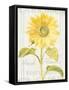 Floursack Florals II-Danhui Nai-Framed Stretched Canvas