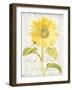 Floursack Florals II-Danhui Nai-Framed Art Print