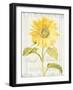 Floursack Florals II-Danhui Nai-Framed Art Print