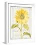 Floursack Florals II-Danhui Nai-Framed Art Print