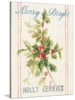 Floursack Holiday Bright I-Danhui Nai-Stretched Canvas