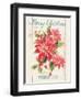 Floursack Holiday Bright III-Danhui Nai-Framed Art Print