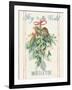 Floursack Holiday Bright IV-Danhui Nai-Framed Art Print