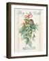 Floursack Holiday Bright IV-Danhui Nai-Framed Art Print