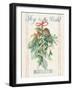 Floursack Holiday Bright IV-Danhui Nai-Framed Art Print