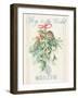 Floursack Holiday IV-Danhui Nai-Framed Art Print