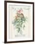 Floursack Holiday IV-Danhui Nai-Framed Art Print