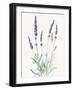 Floursack Lavender I on Linen-Danhui Nai-Framed Art Print