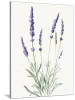 Floursack Lavender I on Linen-Danhui Nai-Stretched Canvas