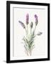 Floursack Lavender II on Linen-Danhui Nai-Framed Art Print