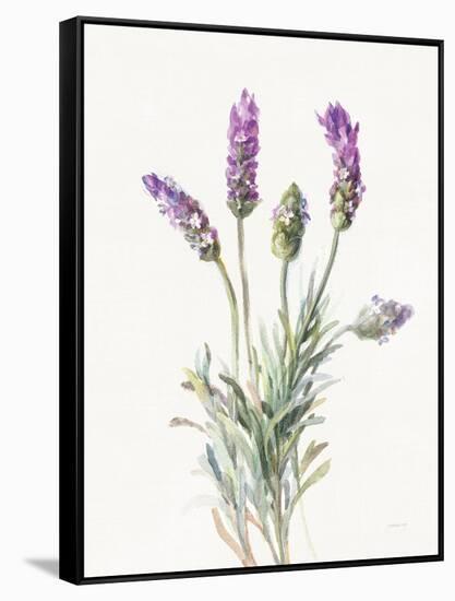 Floursack Lavender II on Linen-Danhui Nai-Framed Stretched Canvas