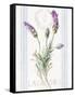 Floursack Lavender II-Danhui Nai-Framed Stretched Canvas