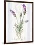 Floursack Lavender II-Danhui Nai-Framed Art Print