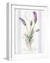 Floursack Lavender II-Danhui Nai-Framed Art Print