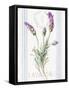 Floursack Lavender II-Danhui Nai-Framed Stretched Canvas