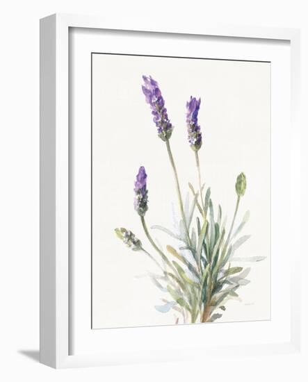 Floursack Lavender III on Linen-Danhui Nai-Framed Art Print