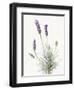 Floursack Lavender III on Linen-Danhui Nai-Framed Art Print