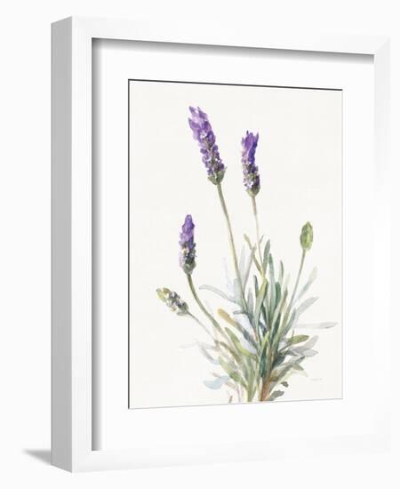 Floursack Lavender III on Linen-Danhui Nai-Framed Art Print