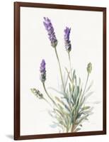 Floursack Lavender III on Linen-Danhui Nai-Framed Art Print