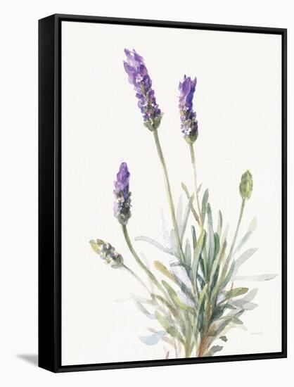 Floursack Lavender III on Linen-Danhui Nai-Framed Stretched Canvas