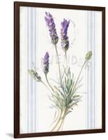 Floursack Lavender III-Danhui Nai-Framed Art Print