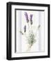 Floursack Lavender III-Danhui Nai-Framed Art Print