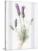 Floursack Lavender III-Danhui Nai-Stretched Canvas