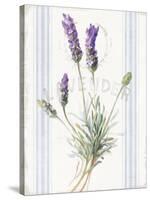 Floursack Lavender III-Danhui Nai-Stretched Canvas